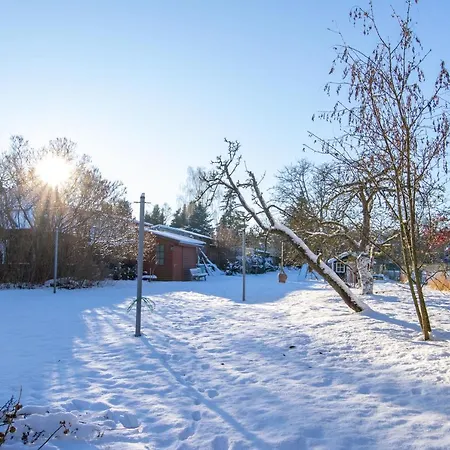 Appartement Seeadler *